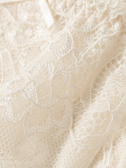 Bow Detail Silk Lace Briefs in Nude