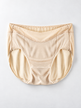 Everyday Silk Briefs with Mesh Edging in Beige