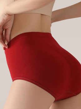 High Rise Knit Briefs with Silk Gusset in Angora Red