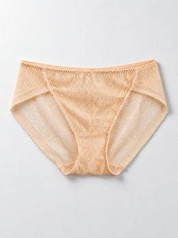 Low Rise Lace Panel Silk Briefs in Peach Nude