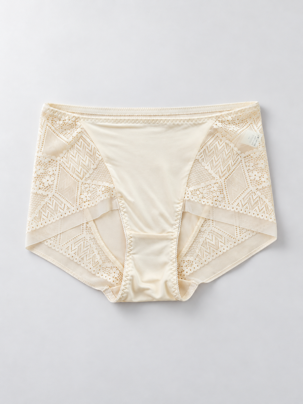 Silk Briefs with Geometric Lace Panels in Nude