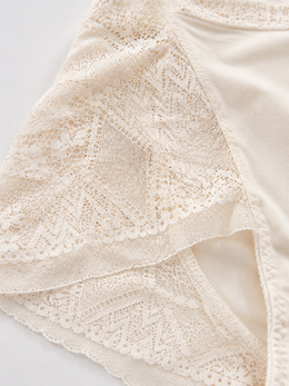 Silk Briefs with Geometric Lace Panels in Nude