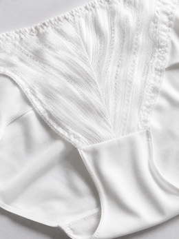 Stretch Lace Panel Briefs with Silk Gusset in White