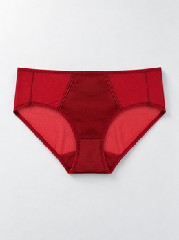 Stretch Silk Satin Panel Briefs in Red