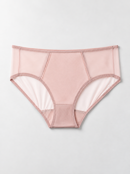 Stretch Silk Satin Panel Briefs in Rose Mauve