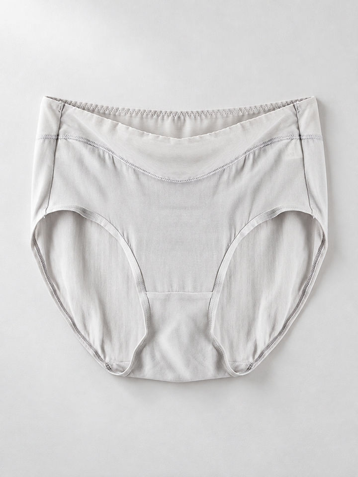 Everyday Silk Briefs with Mesh Edging in Gray