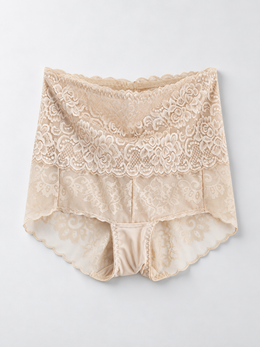 High Rise Silk and Lace Briefs in Nude