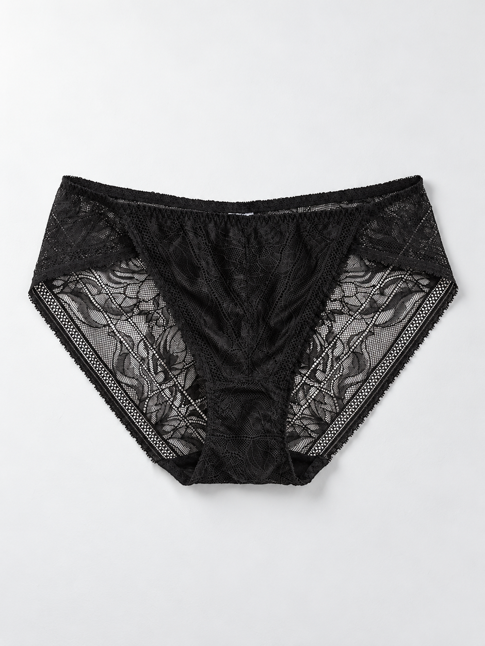 Low Rise Lace Panel Silk Briefs in Black