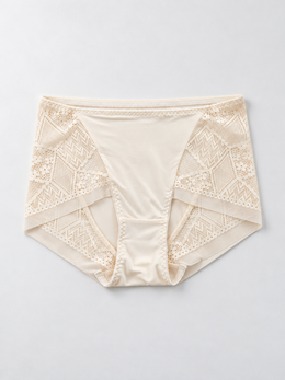 Silk Briefs with Geometric Lace Panels in Nude
