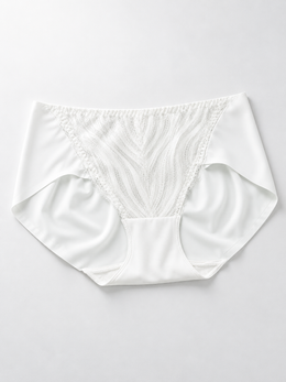 Stretch Lace Panel Briefs with Silk Gusset in White